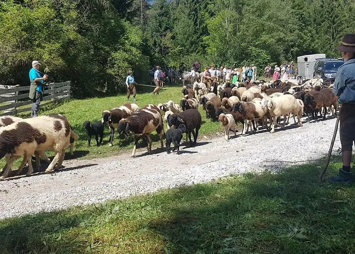 Happy Camp Hofherr 2*