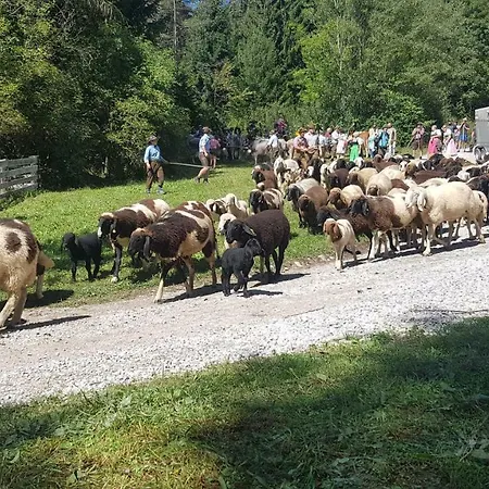 Happy Camp Hofherr 2*