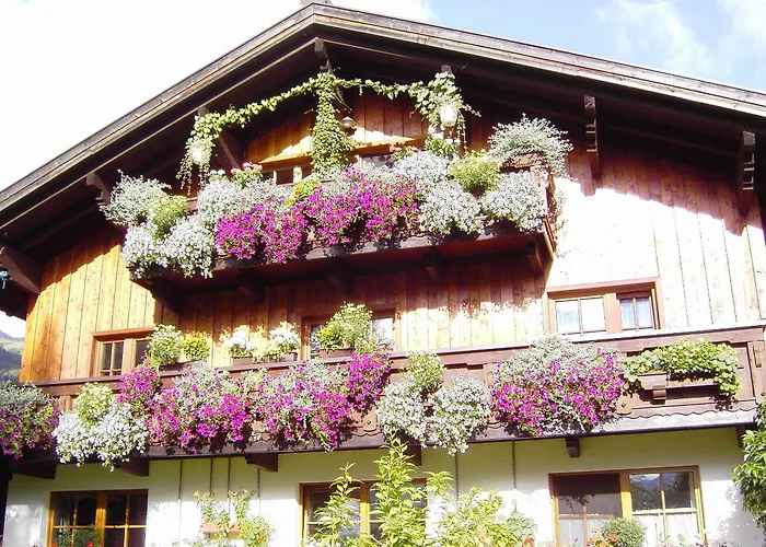 Gasthuis Happy Camp Hofherr 2*