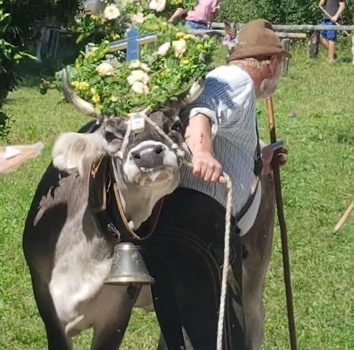 Gasthuis Happy Camp Hofherr Lermoos